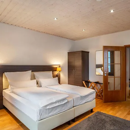 Apartment Luise Bad Bergzabern