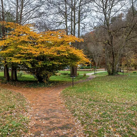 Apartment Luise Bad Bergzabern