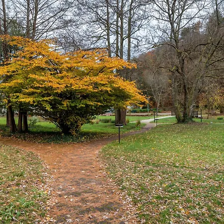 아파트 Luise 바트버그자베른