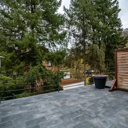 Luise 아파트 바트버그자베른