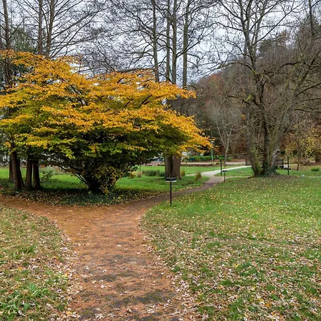 Luise * Bad Bergzabern