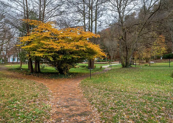 Apartamento Luise Bad Bergzabern